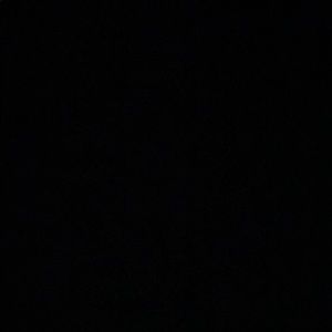 Meet your Posher, Jackson